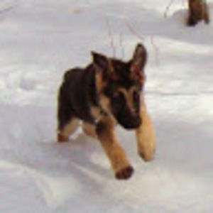 Meet your Posher, Marie